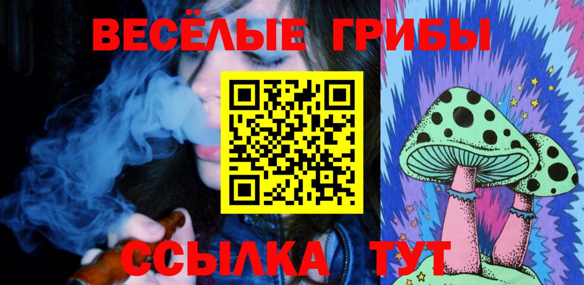 Галлюциногенные грибы Cubensis Уссурийск