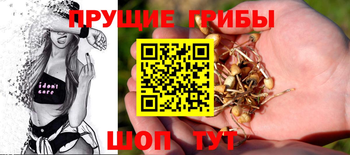 Уссурийск  Галлюциногенные грибы MAGIC MUSHROOMS  Вход с VPN 